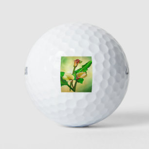 Dargestellt Calla Lilies gegen ein grünes Ombre Golfball