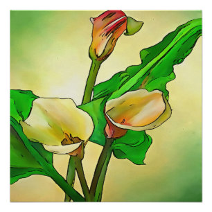 Dargestellt Calla Lilies gegen ein grünes Ombre Poster