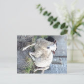 Dåris - das coolste Mutterschaf im Dorf Postkarte (Stehend Vorderseite)