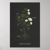 Dark Academia Botanical Anatomy Poster (Vorne)