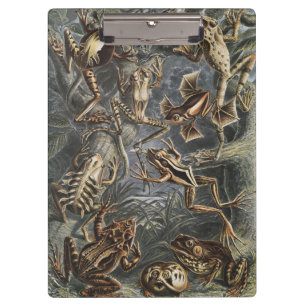 Dark Academia Haeckel Vintage Frosch Natur Druck Klemmbrett