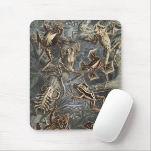 Dark Academia Haeckel Vintage Frosch Natur Druck Mousepad