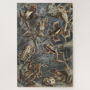 Dark Academia Haeckel Vintage Frosch Natur Druck Puzzle