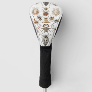 Dark Academia Haeckel Vintage Spinne Symmetrie Kun Golf Headcover