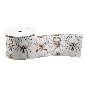 Dark Academia Haeckel Vintage Spinne Symmetrie Kun Satinband