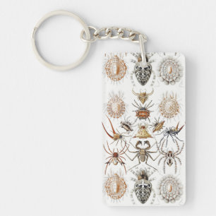 Dark Academia Haeckel Vintage Spinne Symmetrie Kun Schlüsselanhänger