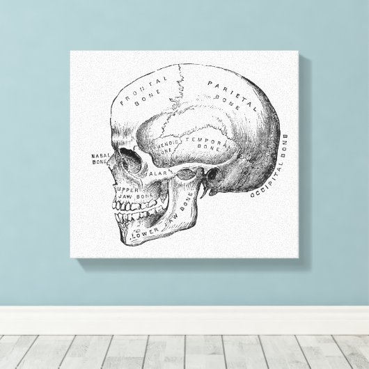Dark Academia Skull Leinwand Art (Insitu (Holzboden))