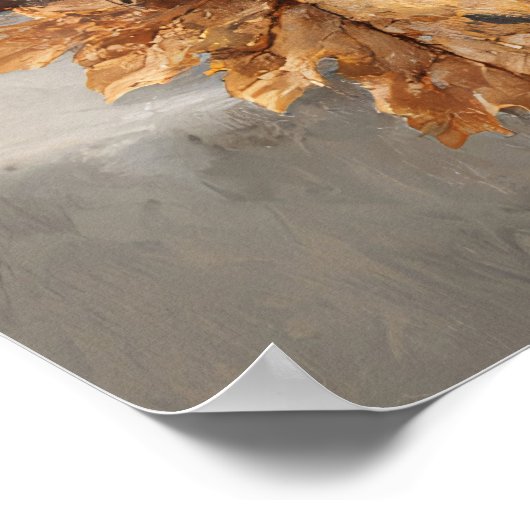 Dark Academia Still Life with Skull Poster (Ecke)