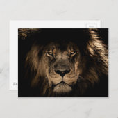 Dark African Lion Wildlife Wild Animal Postkarte (Vorne/Hinten)
