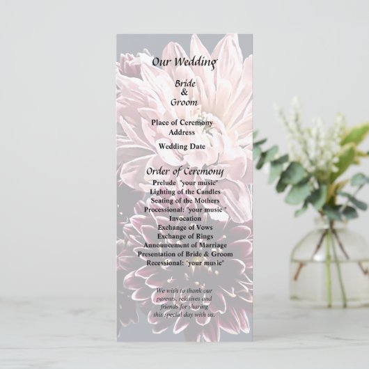 Dark and Light Mums and Daisies Programm (Stehend Vorderseite)