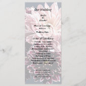 Dark and Light Mums and Daisies Programm (Vorderseite)