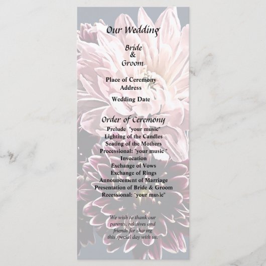 Dark and Light Mums and Daisies Programm (Vorderseite)