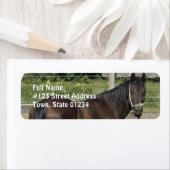 Dark Bay Durchdachte Adressenkennzeichnung (Insitu)