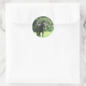 Dark Bay Horse Sticker (Tasche)