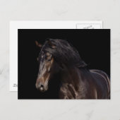 Dark Bay Postkarte (Vorne/Hinten)