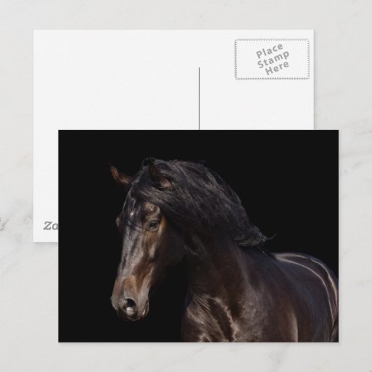 Dark Bay Postkarte (Vorne/Hinten)