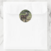 Dark Bay Thoroughbred Stickers (Tasche)