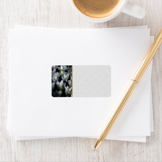 Dark Beauty Adressaufkleber (Insitu)