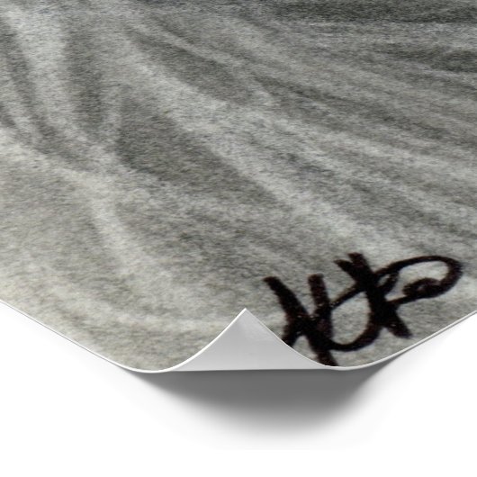 Dark Beauty Moon Shadows Poster (Ecke)