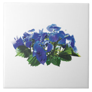 Dark Blue Hydrangea Spitzen Cap Fliese