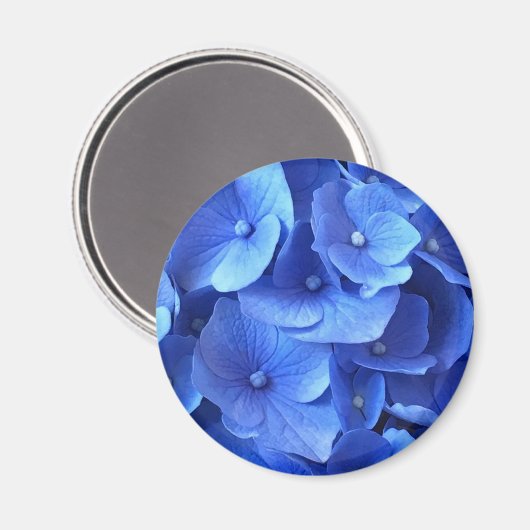 Dark Blue Hydrangeas Magnet (Vorderseite/Rückseite)