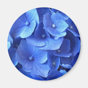 Dark Blue Hydrangeas Magnet