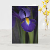 Dark Blue Iris Blume Bouquet Karte (Gelbe Blume)
