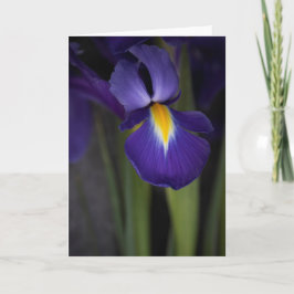 Dark Blue Iris Blume Bouquet Karte