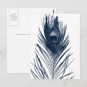 Dark Blue Peacock Feather Postcard Postkarte (Vorne/Hinten)