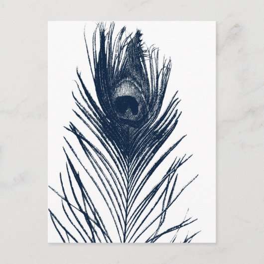 Dark Blue Peacock Feather Postcard Postkarte (Vorderseite)