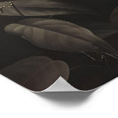 Dark Botanical Snake Art Print Floral Reptile Poster (Ecke)