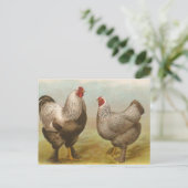 Dark Brahmas Postkarte (Stehend Vorderseite)