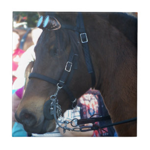 Dark Brown Arabian Horse mit Brille Fliese