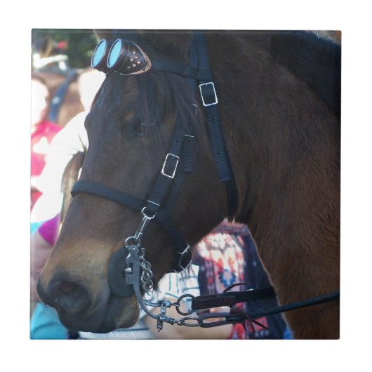 Dark Brown Arabian Horse mit Brille Fliese (Vorderseite)