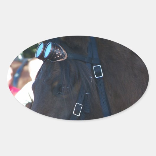 Dark Brown Arabian Horse mit Brille Ovaler Aufkleber (Vorderseite)