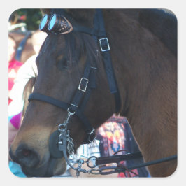 Dark Brown Arabian Horse mit Brille Quadratischer Aufkleber