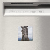 Dark Brown Horse Magnet (In Situ (Geschirrspüler))