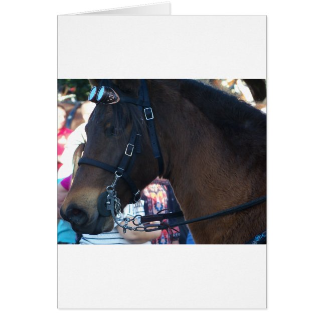 Dark Brown Pferd mit Brille (Vorne)