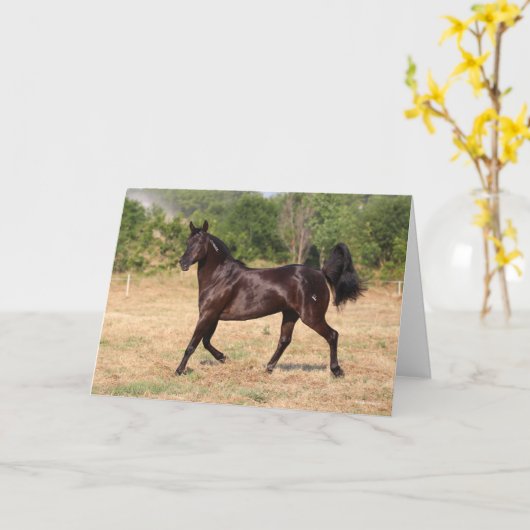 Dark Brown Spanish Mustang Mare Walking Karte (Gelbe Blume)