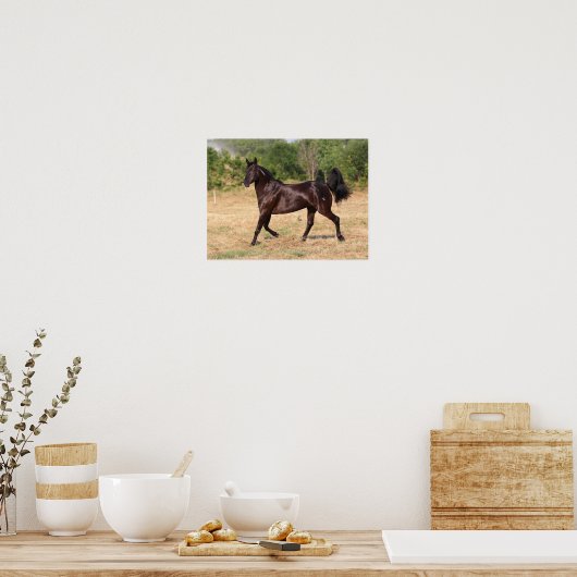 Dark Brown Spanish Mustang Mare Walking Poster (Küche)