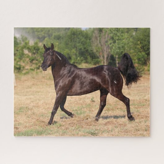 Dark Brown Spanish Mustang Mare Walking Puzzle (Horizontal)
