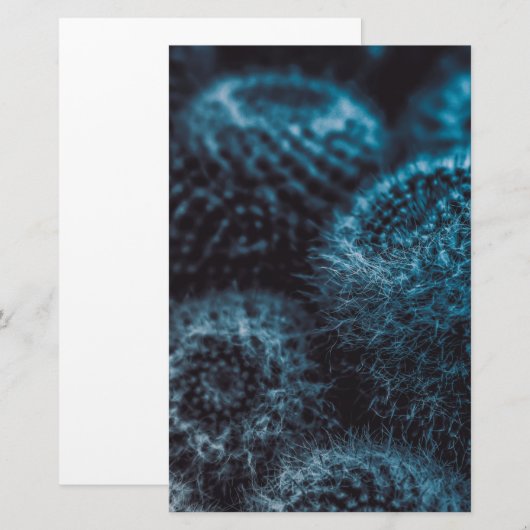 Dark Cactus Briefpapier (Vorne/Hinten)