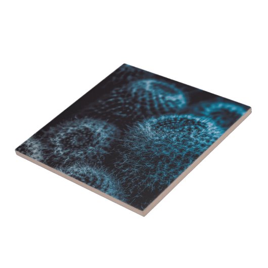 Dark Cactus Fliese (Seite)