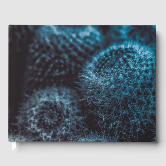 Dark Cactus Gästebuch (Vorderseite)