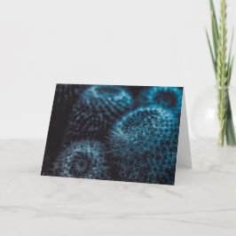 Dark Cactus Karte