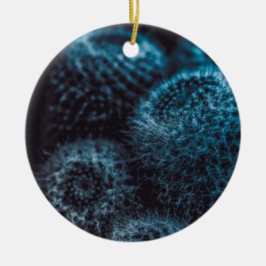 Dark Cactus Keramik Ornament (Vorne)