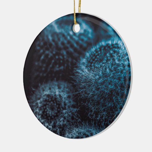 Dark Cactus Keramik Ornament (Links)