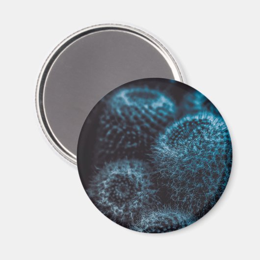 Dark Cactus Magnet (Vorderseite/Rückseite)