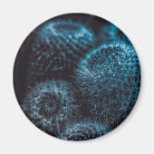 Dark Cactus Magnet (Vorne)