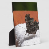 Dark Camouflage Butterfly Fotoplatte (Seite)